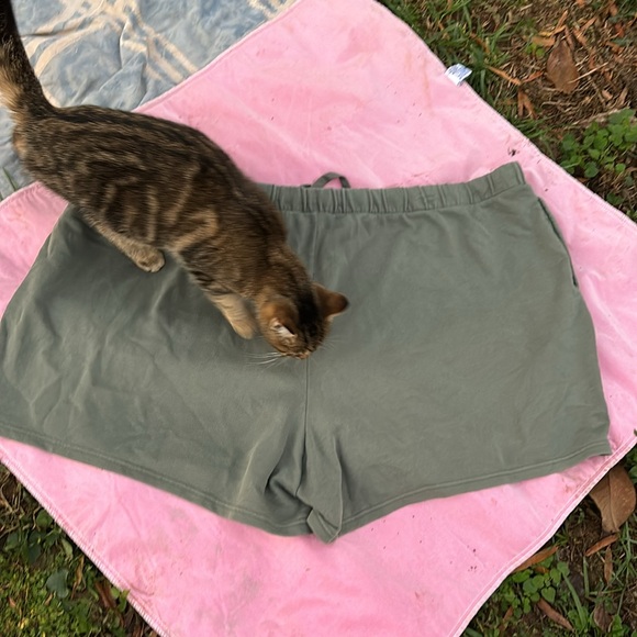 NWT Terra & Sky Green Knit Shorts Elastic Drawstring Waist Sweats 4X (28W-30W) - Picture 12 of 16